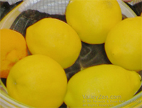 Sumi-e lemon by Drue Kataoka